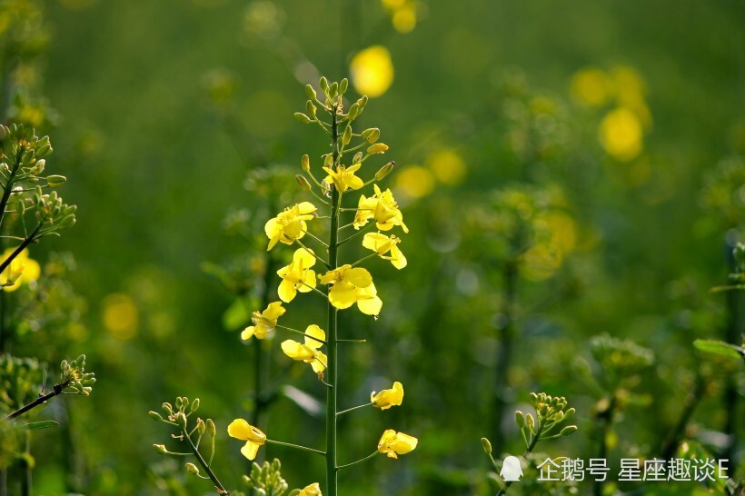 青岛物流公司 第108页
